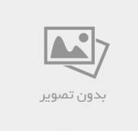 خلاصه فصل اول و دوم از کتاب کلیات فلسفه  پیام نور در قالب word